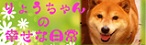 いぬねこニュース